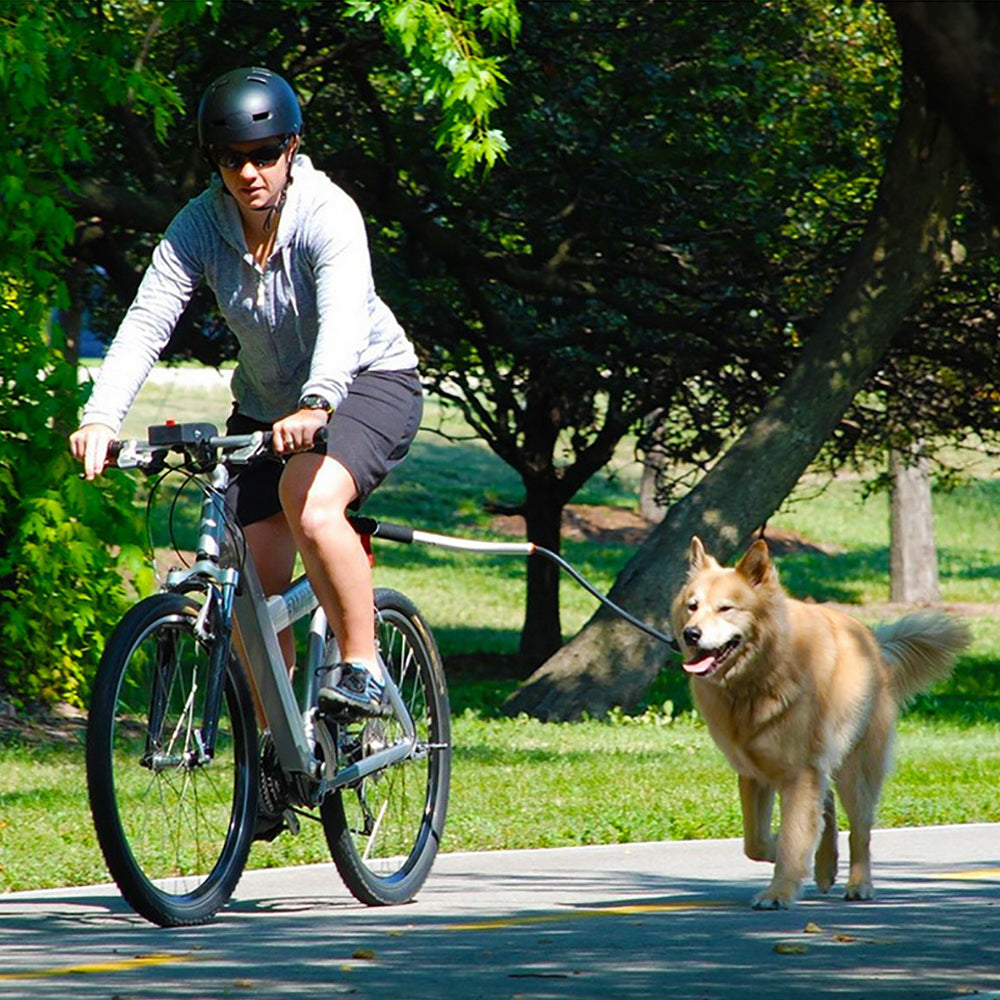 Unleash Adventure with the Stainless Steel Bike Leash for Pet Dogs